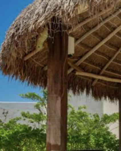 Hotel Niwa Tulum Exteriér fotografie